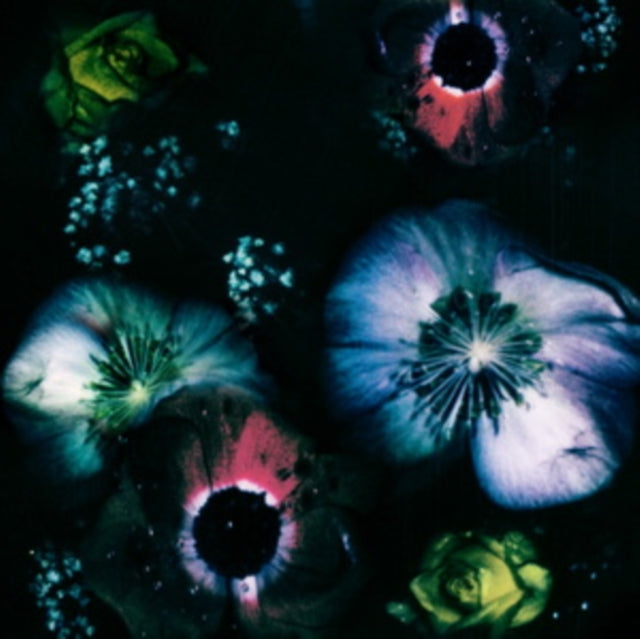 VAAL | LOVE REVERSED | VINYL RECORD (LP)