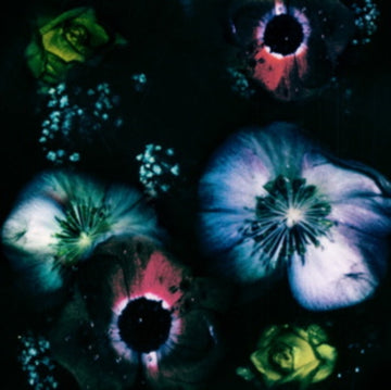 VAAL | LOVE REVERSED | VINYL RECORD (LP)