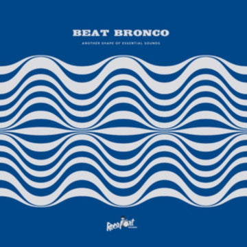 ANOTHER SHAPE OF ESSENTIAL SOUNDS | VINYL RECORD (LP)