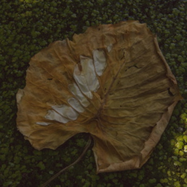 MEDE, ADELA | NE LEPJ A VIRAGRA | VINYL RECORD (LP)