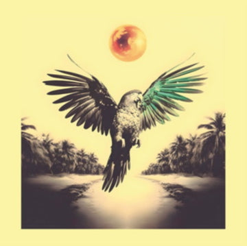 PONTA DE DOIS LADOS | VINYL RECORD (LP)