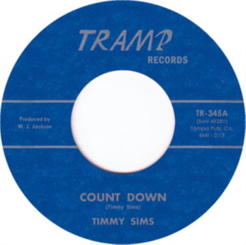 COUNT DOWN | 7IN VINYL