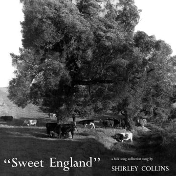 SWEET ENGLAND | VINYL RECORD (LP)