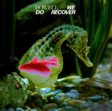 WE DO RECOVER | VINYL RECORD (LP)