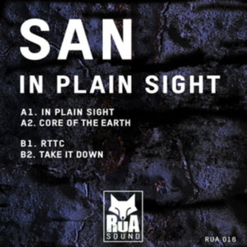IN PLAIN SIGHT | 12IN VINYL