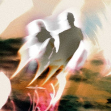 UNCOMMON & FRAGILE | VINYL RECORD (LP)
