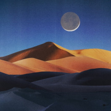 I AM THE SUN. YOU ARE THE MOON | 7IN VINYL