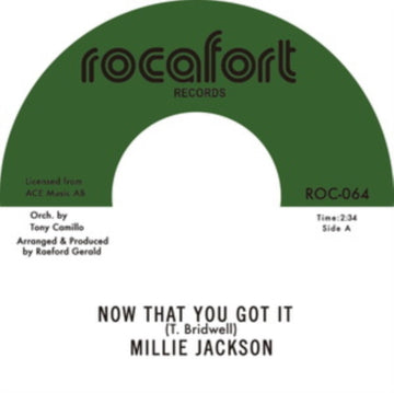 NOW THAT YOU GOT IT/HYPOCRISY (ALTERNATIVE VERSION) | 7IN VINYL