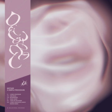 SIMPLE PROCEDURE | 12IN VINYL