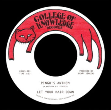 PINGU'S ANTHEM B/W GRONK | 7IN VINYL