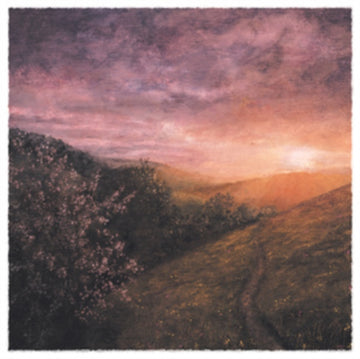MORNING OF MAY | VINYL RECORD (LP)