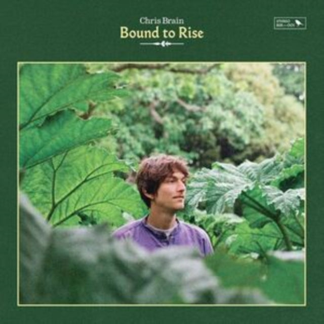BRAIN, CHRIS | BOUND TO RISE | VINYL RECORD (LP)