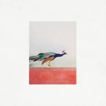 SINGH, JASON & THE BANWASI COLLECTIVE | TRAVELLERS (PINK VINYL) | VINYL RECORD (LP)