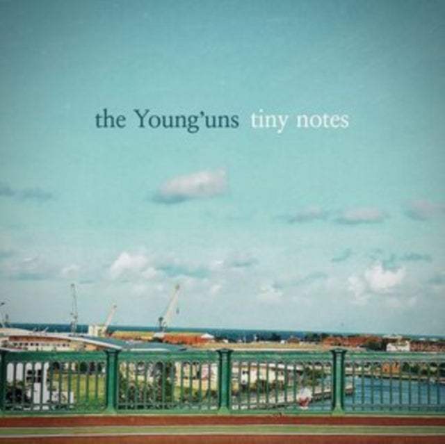 YOUNG'UNS | TINY NOTES (RED VINYL) | VINYL RECORD (LP)