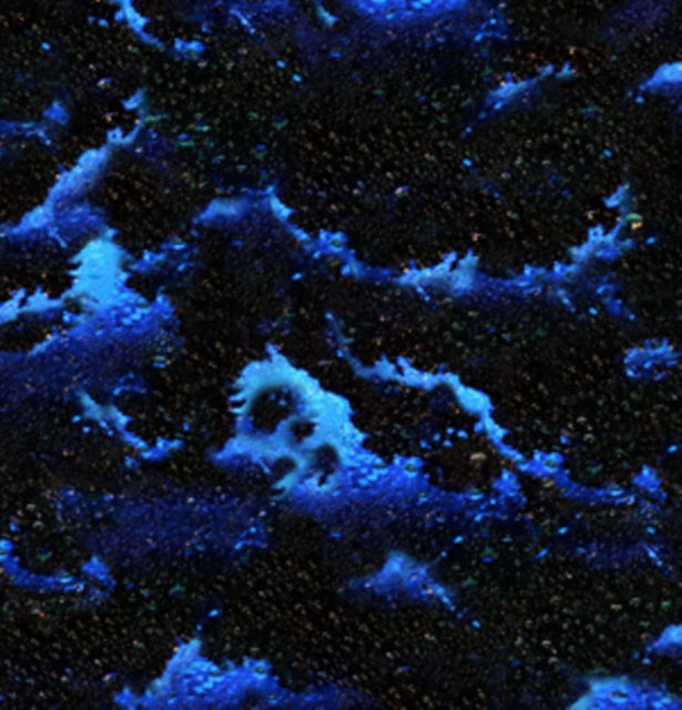 CHRIST, EVIAN | WATERFALL | 12IN VINYL