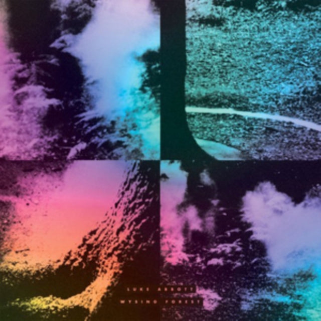 ABBOTT, LUKE | WYSING FOREST | VINYL RECORD (LP)