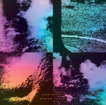 ABBOTT, LUKE | WYSING FOREST | VINYL RECORD (LP)