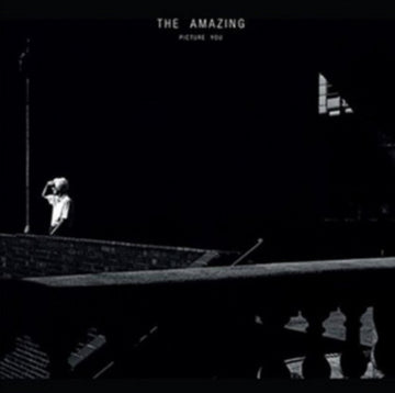 PICTURE YOU (DL CARD) | VINYL RECORD (LP)