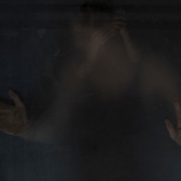 FROST, BEN | WASP FACTORY | VINYL RECORD (LP)