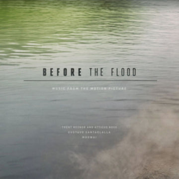 BEFORE THE FLOOD | VINYL RECORD (LP)
