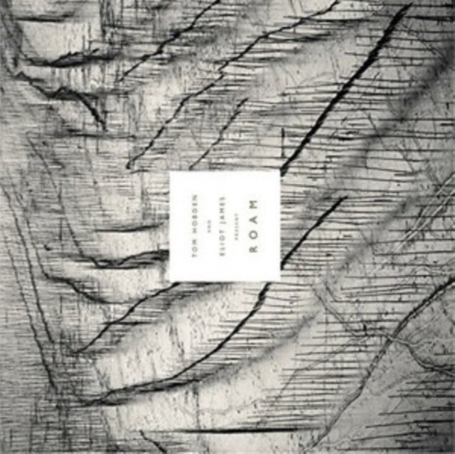 HOBDEN, TOM / JAMES, ELIOT | PRESENT: ROAM (180G/DL CARD) | VINYL RECORD (LP)