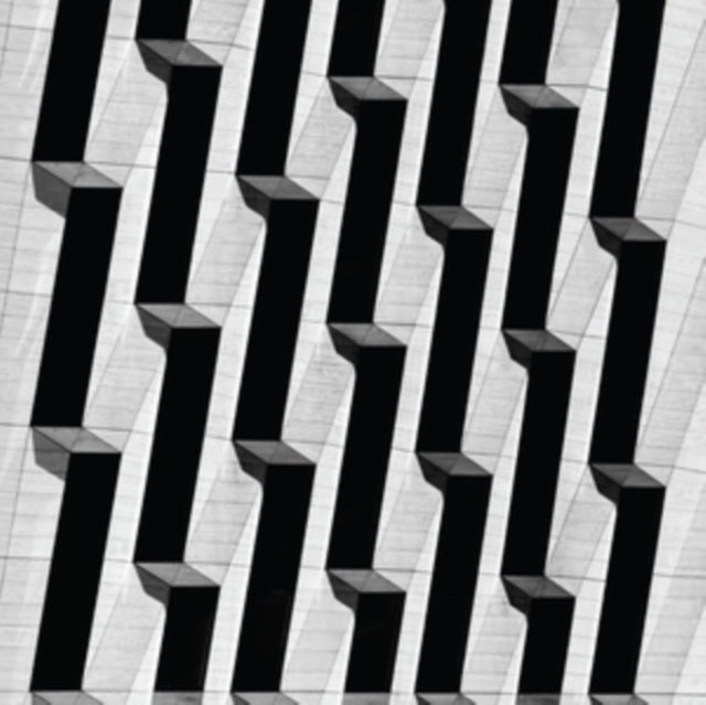 SNOW PALMS | EVERYTHING ASCENDING | 12IN VINYL