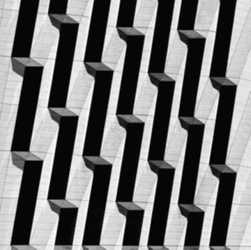 SNOW PALMS | EVERYTHING ASCENDING | 12IN VINYL