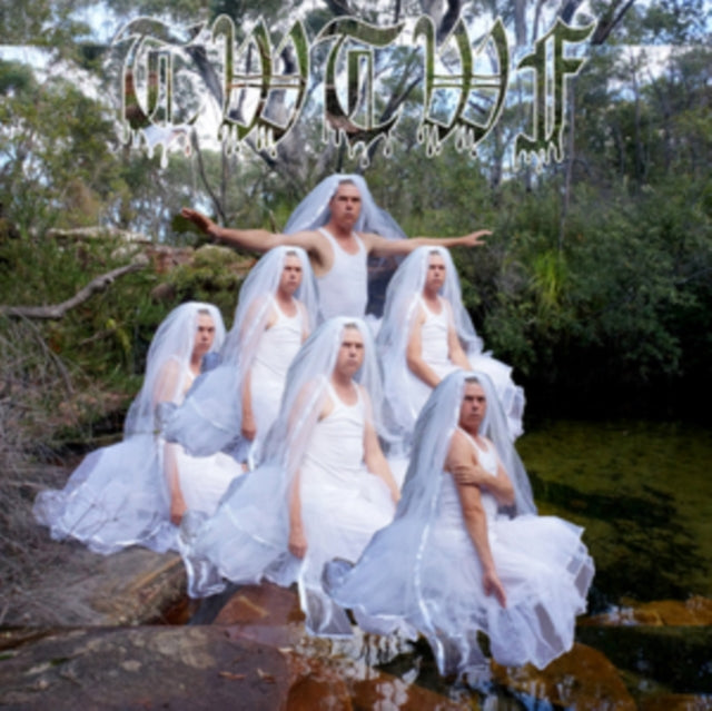 LIARS | TITLES WITH THE WORD FOUNTAIN | VINYL RECORD (LP)