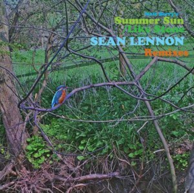 BERRY, MATT | SUMMER SUN / LIKE STONE (SEAN ONO LENNON REMIXES) | VINYL RECORD (LP)