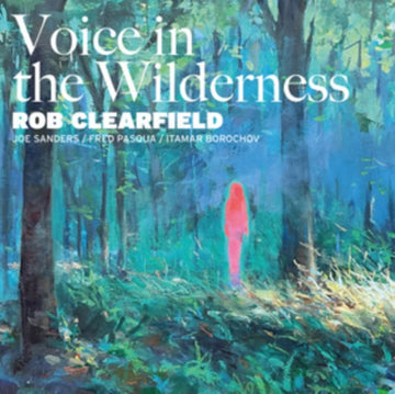 VOICE IN THE WILDERNESS | VINYL RECORD (LP)