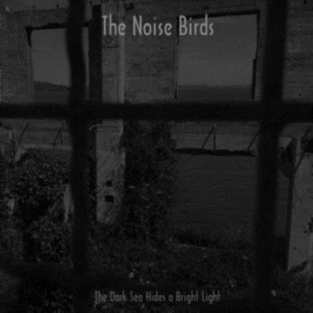 NOISE BIRDS | DARK SEA HIDES A BRIGHT LIGHT | VINYL RECORD (LP)