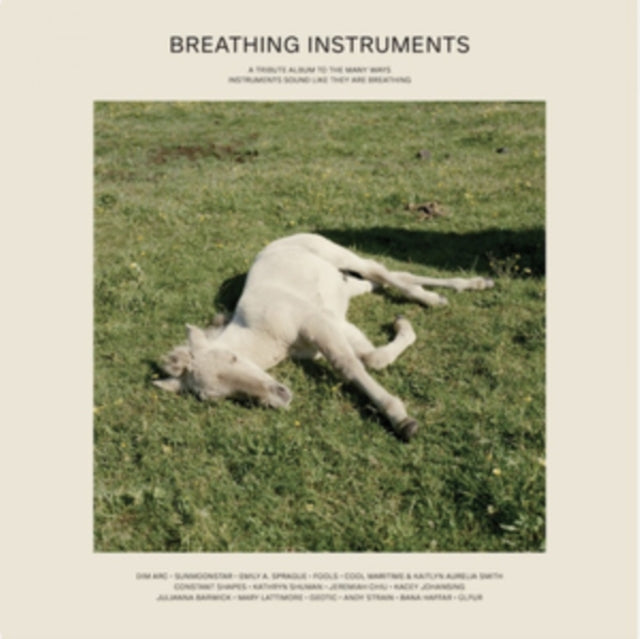 VARIOUS ARTISTS | BREATHING INSTRUMENTS | VINYL RECORD (LP)