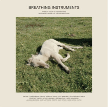 VARIOUS ARTISTS | BREATHING INSTRUMENTS | VINYL RECORD (LP)