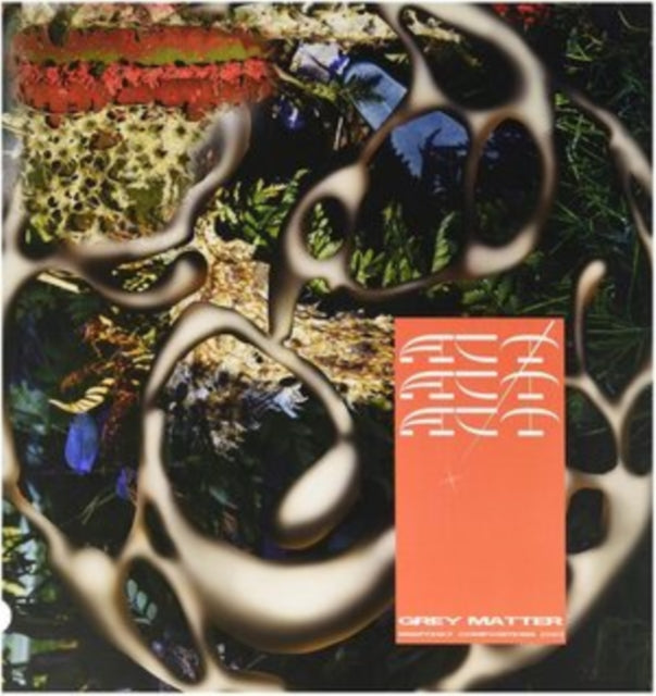 ACT! | GREY MATTER AR SNAPCHAT COMPOSITIONS | VINYL RECORD (LP)