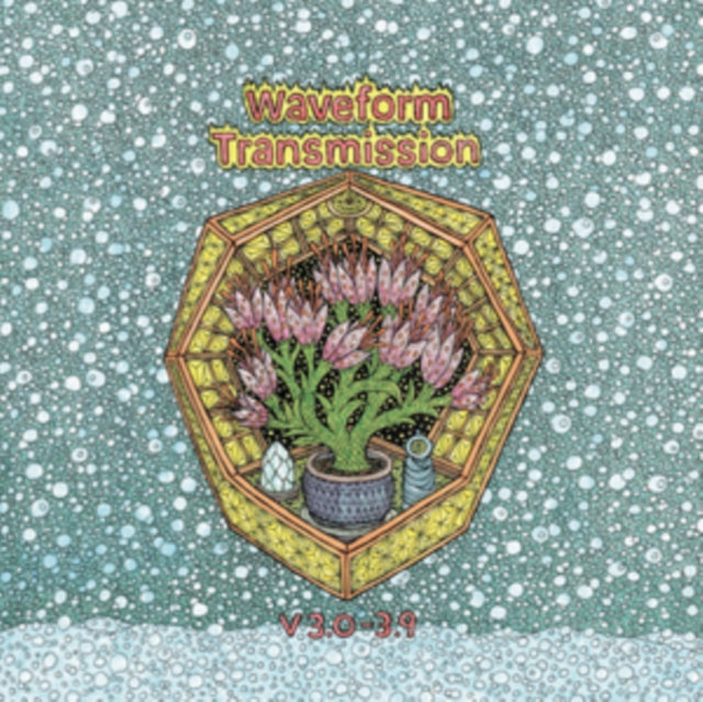 WAVEFORM TRANSMISSION | V 3.0-3.9 | VINYL RECORD (LP)