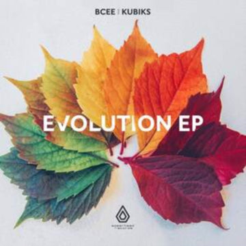 EVOLUTION | 12IN VINYL