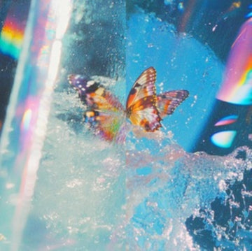 BUTTERFLY (2LP) | VINYL RECORD (LP)