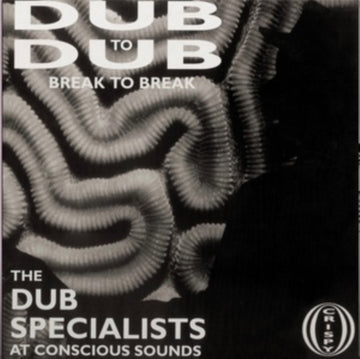 DUB TO DUB BREAK TO BREAK | VINYL RECORD (LP)