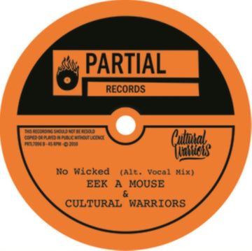NO WICKED (ALT. VOCAL MIX) | 7IN VINYL