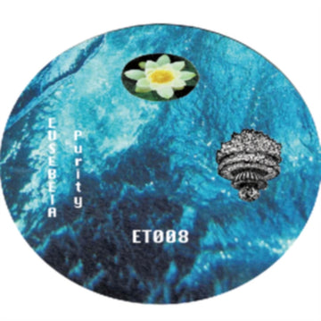 PURITY/PURITY | 12IN VINYL
