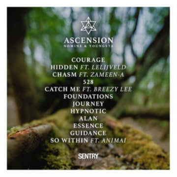 ASCENSION | VINYL RECORD (LP)