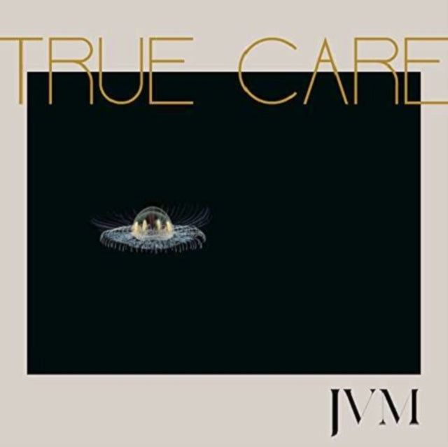 MCMORROW, JAMES VINCENT | TRUE CARE | VINYL RECORD (LP)