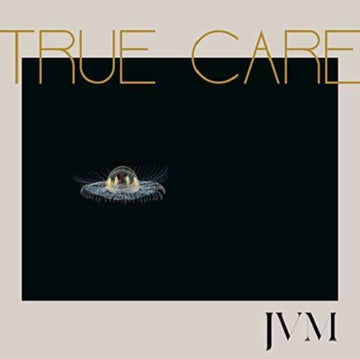 MCMORROW, JAMES VINCENT | TRUE CARE | VINYL RECORD (LP)