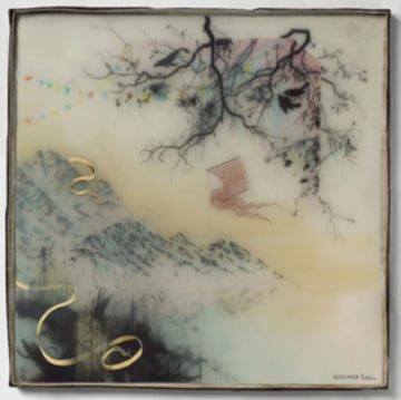 NOVO AMOR | BIRTHPLACE | VINYL RECORD (LP)