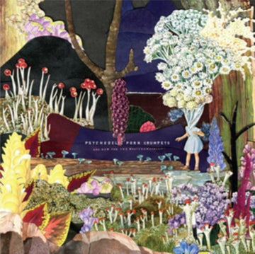 PSYCHEDELIC PORN CRUMPETS | AND NOW FOR THE WHATCHAMACALLIT | VINYL RECORD (LP)
