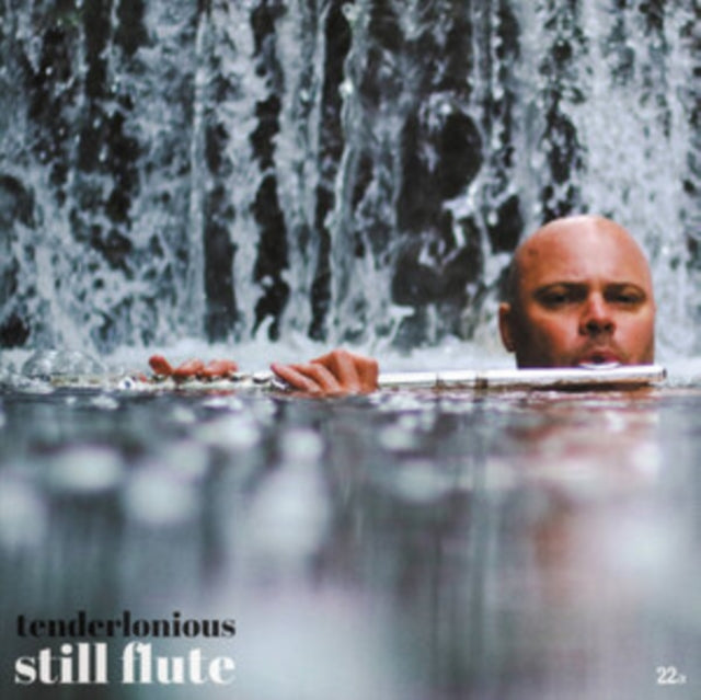 TENDERLONIOUS | STILL FLUTE | VINYL RECORD (LP)