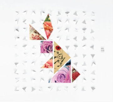 XXL (XIU XIU / LARSEN) | DUDE | VINYL RECORD (LP)