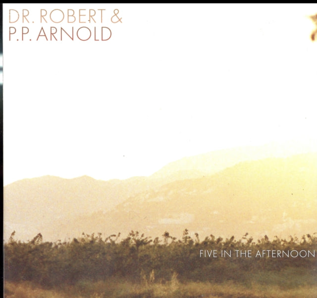 DR ROBERT / P.P. ARNOLD | FIVE IN THE AFTERNOON | VINYL RECORD (LP)