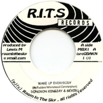 KINGJAY, DONOVAN/SKYCRU & KINGSLEY WRAY | WAKE UP EVERYBODY/HEAVY LOAD | VINYL RECORD (LP)