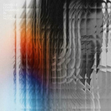 DREAMING IN SLOW MOTION | VINYL RECORD (LP)